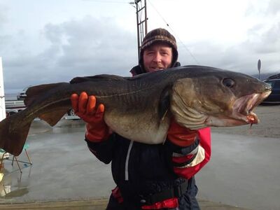 Wobbler Meeresfischen Angeln Schleppen Trolling in Rostock - Dierkow