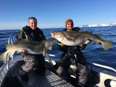 Norway Fishing Codfish Tour Deep Sea Fishing' Trucker Cap